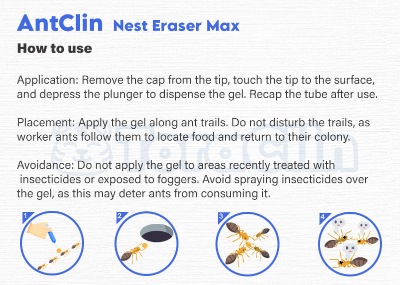 ToraClin AntClin Nest Eraser Max 10g (FREE GIFT ONLY)